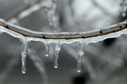 Iceporncasting