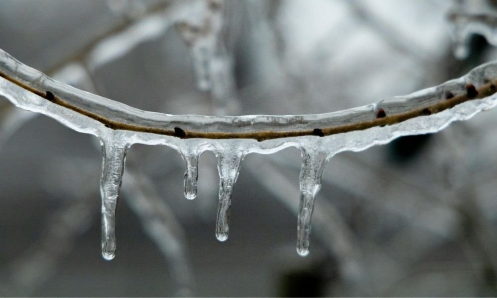 Iceporncasting